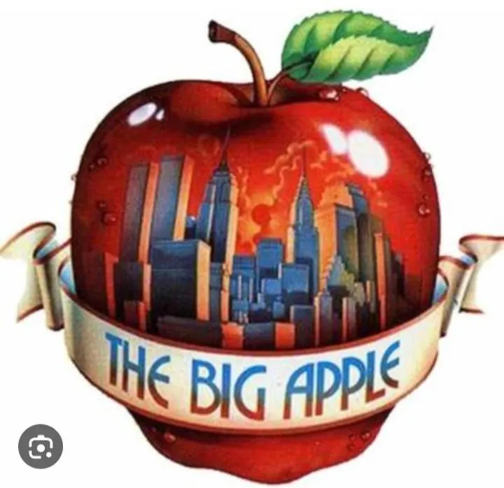 Big Apple Hotel 蒙特哥贝